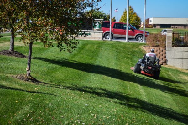 Commercial-Lawn-Mowing-Kansas-City17