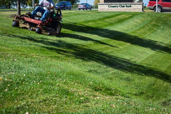 Commercial-Lawn-Mowing-Kansas-City18