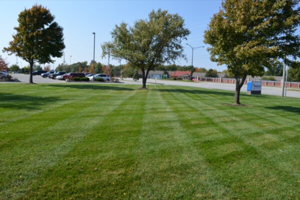 Commercial-Lawn-Mowing-Kansas-City9